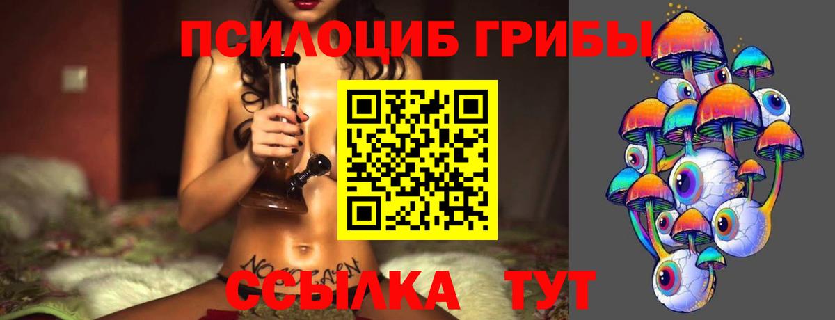 Гусев  Псилоцибиновые грибы Psilocybe  Вход с VPN 